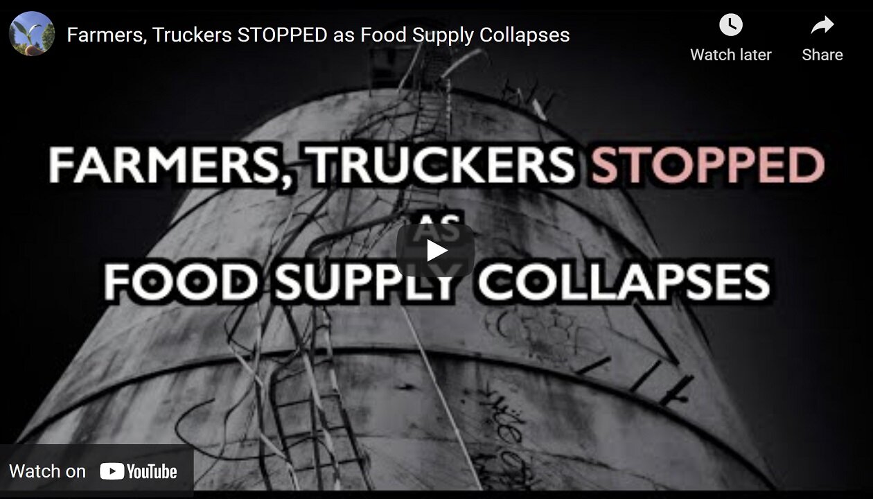 Truckers, Farmers, Food Shortages Coming - By Ice Age Farmer