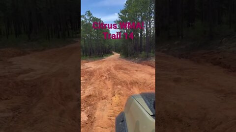 Don’t tip over! Off camber and off-road at Citrus WMA