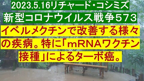 2023.05.16 リチャード・コシミズ新型コロナウイルス戦争５７３