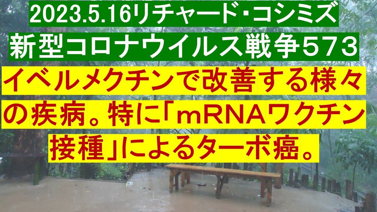 2023.05.16 リチャード・コシミズ新型コロナウイルス戦争573
