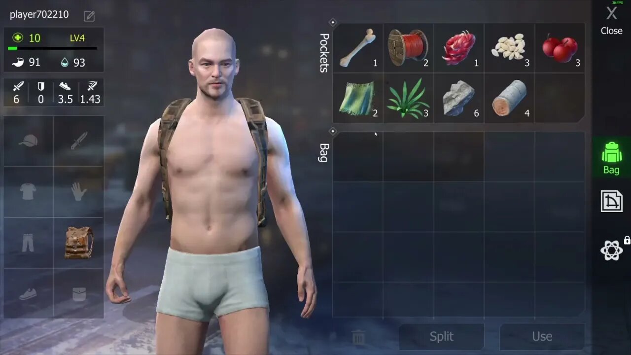 Wasteland Survival Free To Play