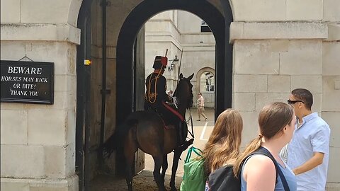 impatient horse can't wait to go back #horseguardsparade