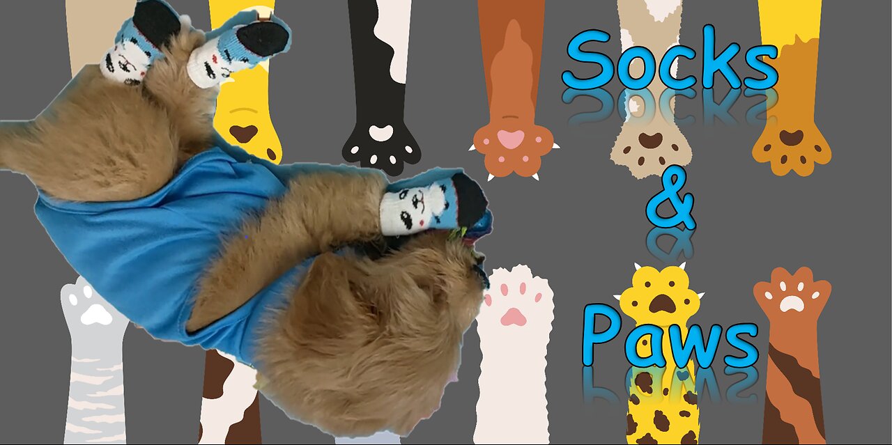 LuffyLove stars in "Socks & Paws"