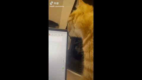 He was so close to success