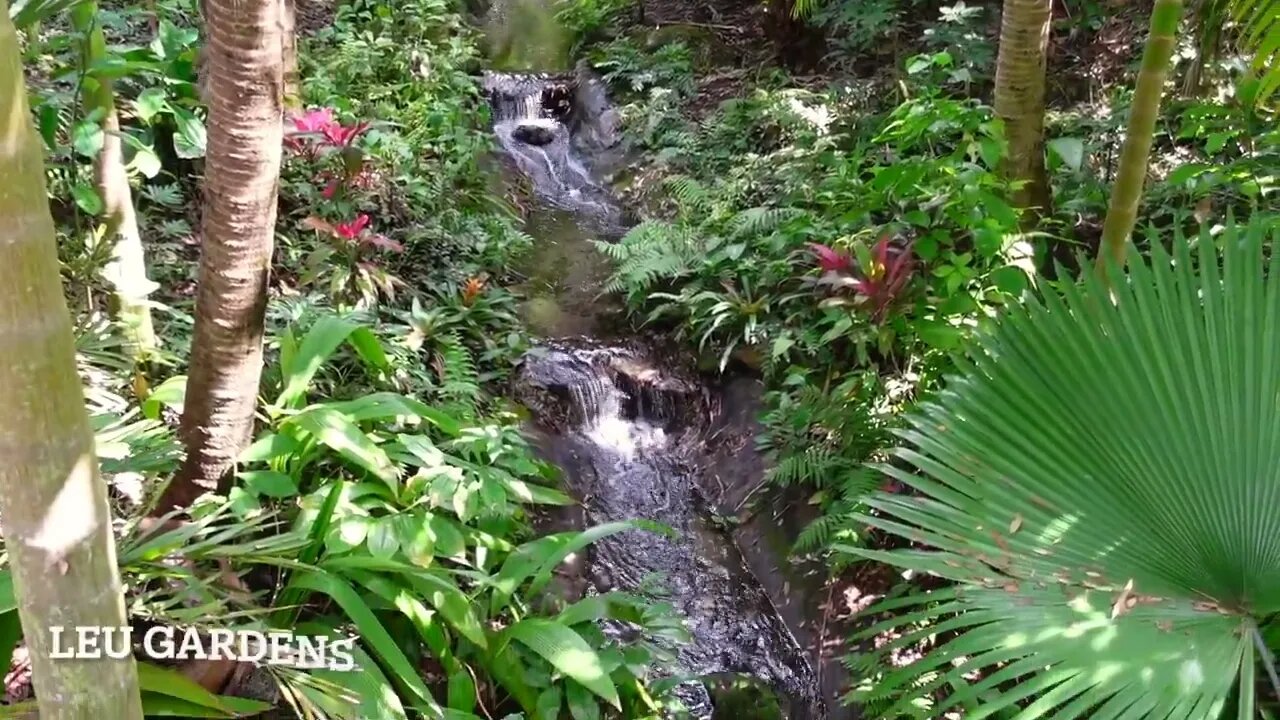 Leu Gardens