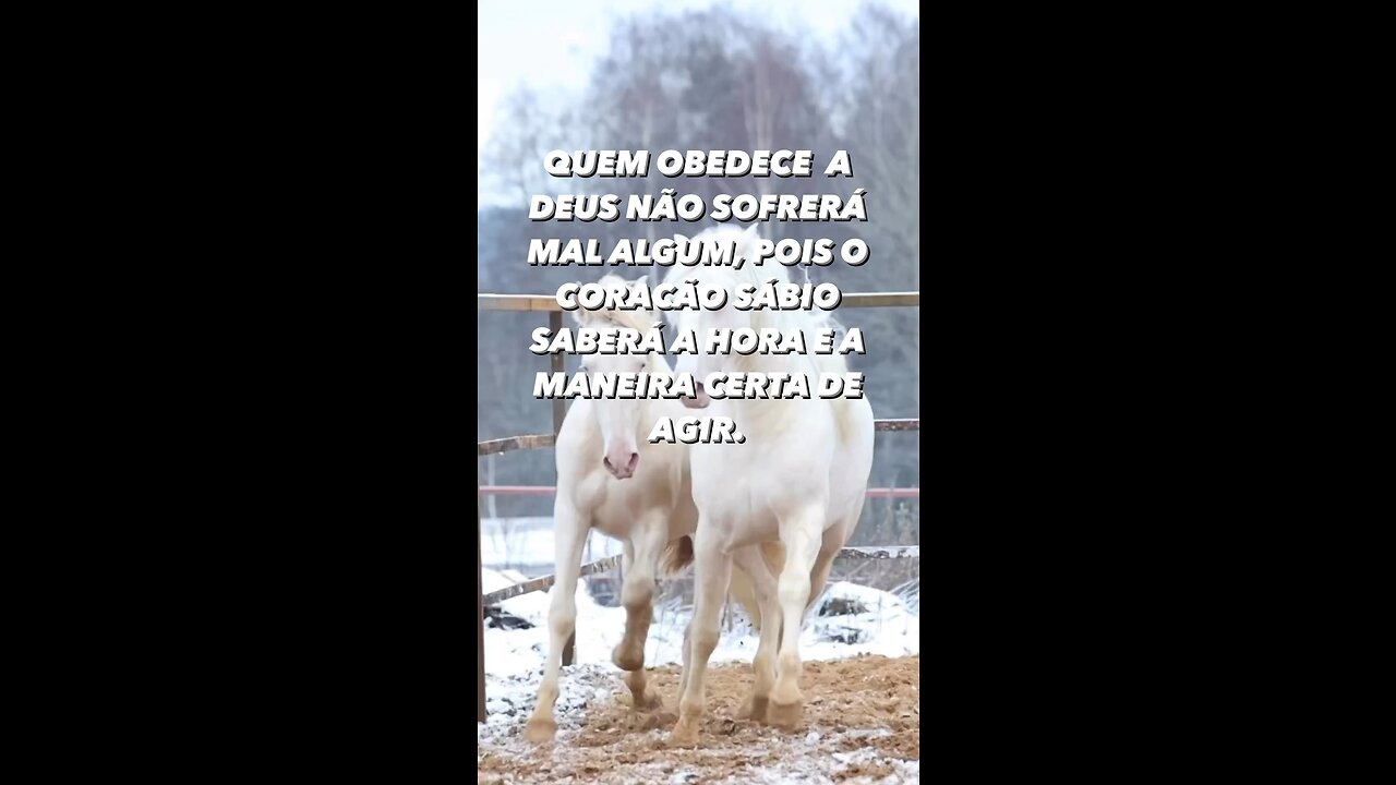Pense nas coisas do alto