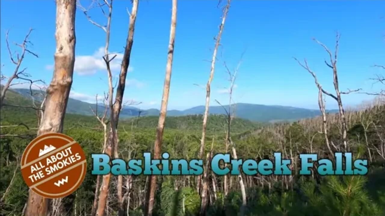 Basksins Creek Falls Hike - Smoky Mountain Hikes