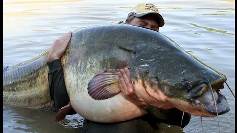 look what this guy got while fishing in the lake