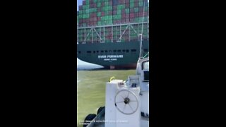 Moving Everforward from the Chesapeake