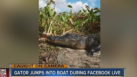 Gator jumps into boat during Facebook LIVE