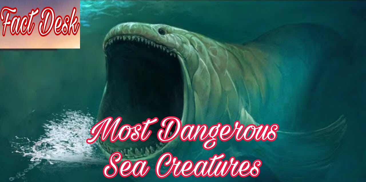 Most Dangerous Sea Creatures