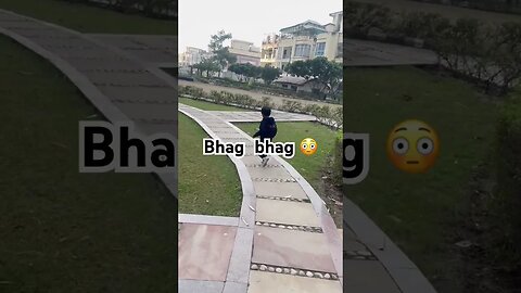 Bhag bhag #viral #funny #short #shorts #shortvideos #baby #cutebaby #viralvideos #comedy