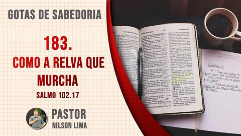 183. Como a relva que murcha - Salmo 102.7 - Pr. Nilson Lima #DEVOCIONAL