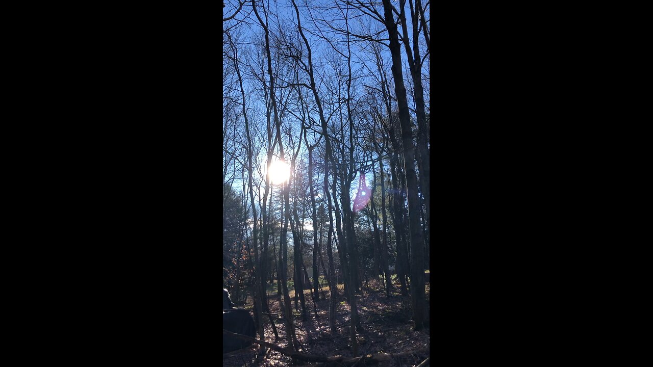 2/5/2024-😀Get Outside & Get Yourself Some Exercise And Vitamin D ☀️