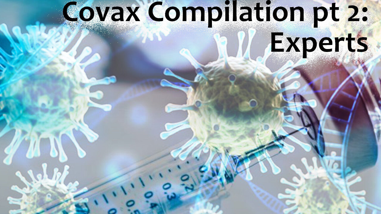 Covax Compilation 02: Experts