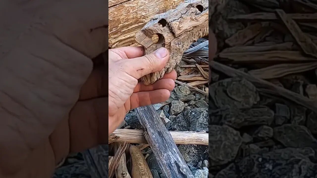 Round Holes in Drift Wood