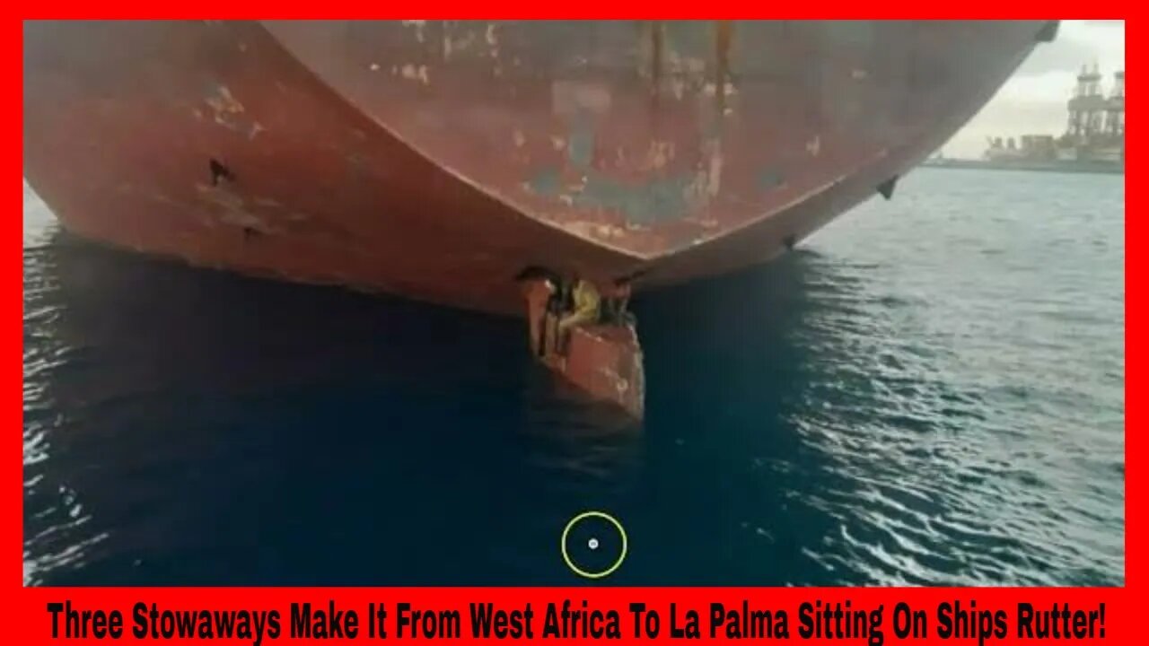 Three Stowaways Make It From West Africa To La Palma Sitting On Ships Rutter!