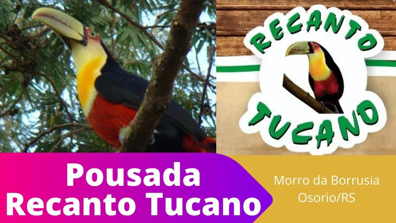 Eco Pousada Recanto Tucano - Morro da Borrúsia/Osório//RS Parte 1 Cabanas #turismo #ferias #viajar