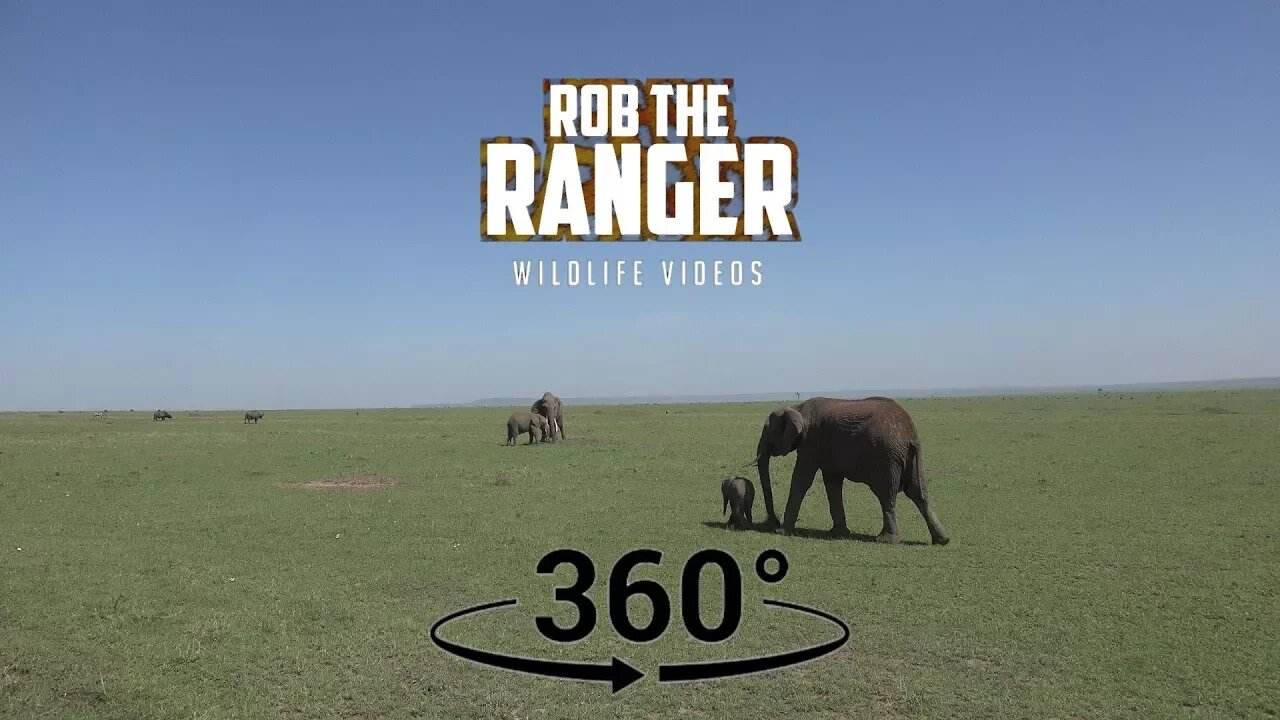 Elephants In the Vast Maasai Mara Landscape (In 360°)