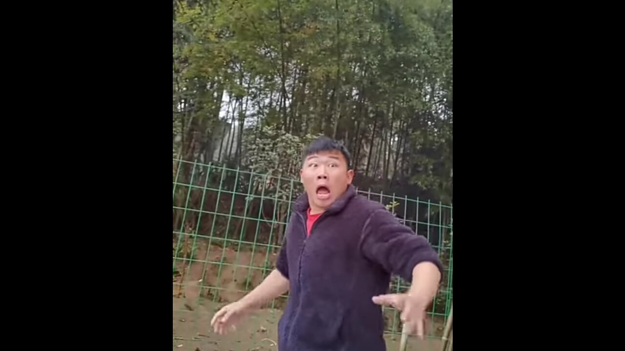 Best funny video
