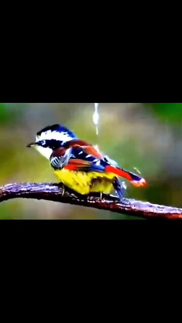 WHEN GOD MAKES US WAIT - DAILY DEVOTIONAL ❤️