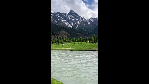 Nature view