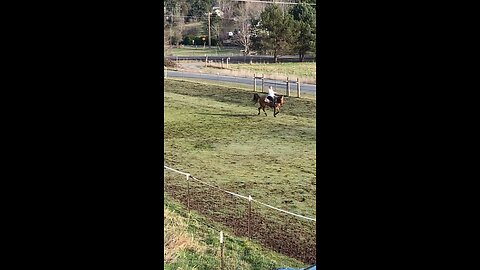 Slo mo Horse Training