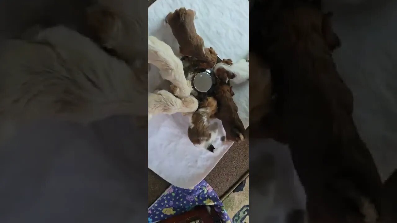 Today's Adventures(5)