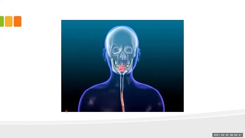 orthodontics L11 (etiology of malocclusion 2)