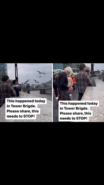 Shameless girl grabs seagull and puts it in a bag