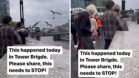 Shameless girl grabs seagull and puts it in a bag