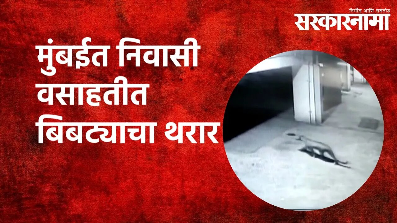 मुंबईत निवासी वसाहतीत बिबट्याचा थरार | Sarakarnama | Mumbai