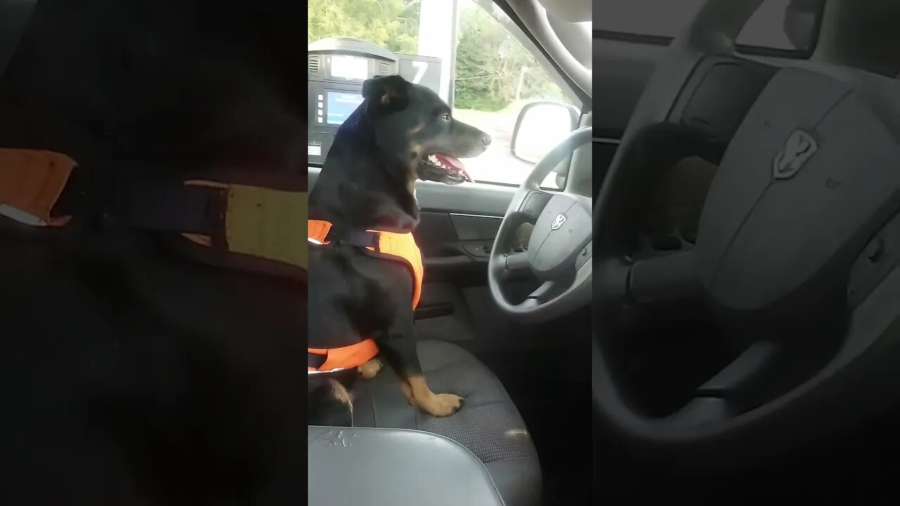 Max want pay for gas.