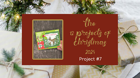 The 12 Projects of Christmas 2024: Project #7