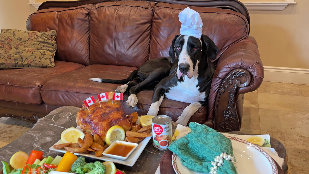 Great Dane Chef Enjoys Swiss Chalet Chicken For Canadian Holiday Weekend