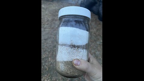 Homemade Fertilizer