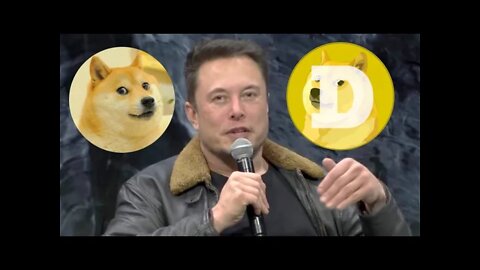 Elon Musk Reveals Why He Loves Dogecoin So Much