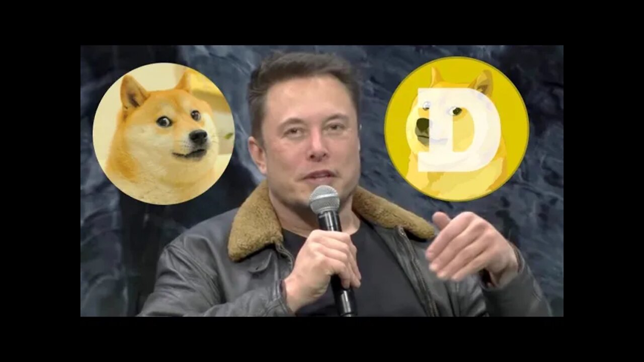Elon Musk Reveals Why He Loves Dogecoin So Much