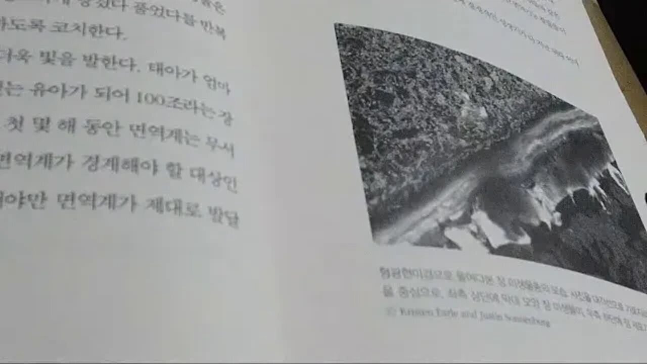 건강한 장이 사람을 살린다, 장 미생물, 프로바이오틱스, 장막 면역계의, 객원멤버, 탄수화물이 풍부한 장점막, 초유, 올리고당, HMO, 모유수유, 유산균, 프리바이오틱스, 항생제