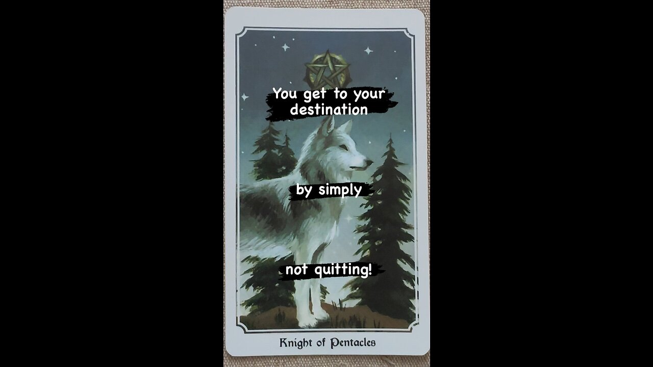 MEDITATION #dontquit #hanginthere #hope #focus #determination #tarot #tarotary #dailycard