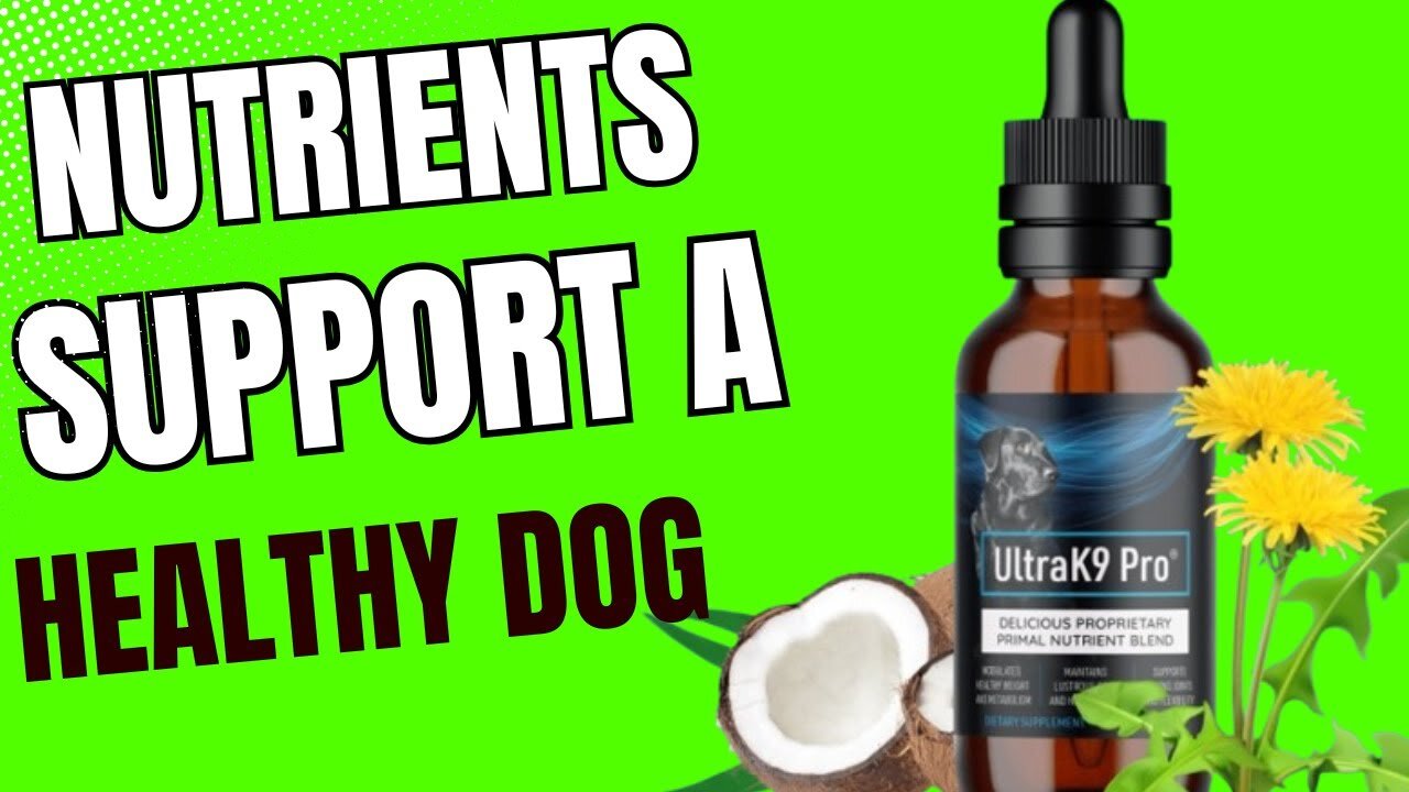 Ultrak9 pro - The Besta Supplement for yout dog's Health