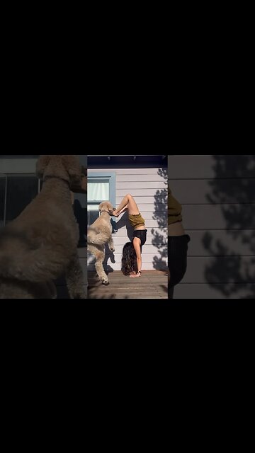 Giant Doodle Tricks 😂