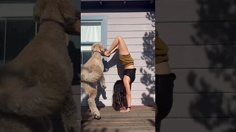 Giant Doodle Tricks 😂