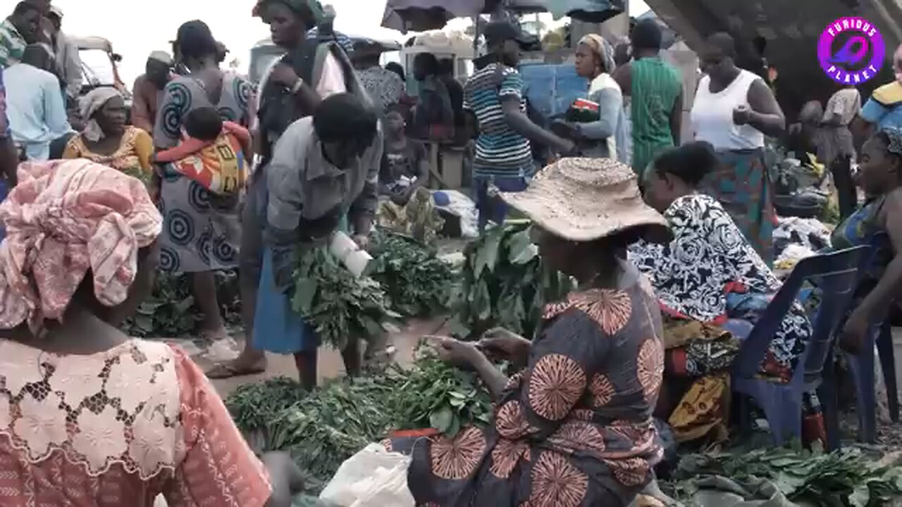 फल-सब्जियों के बाजार की तरह यहां है पैसों का बाजार | Money Market of Somaliland