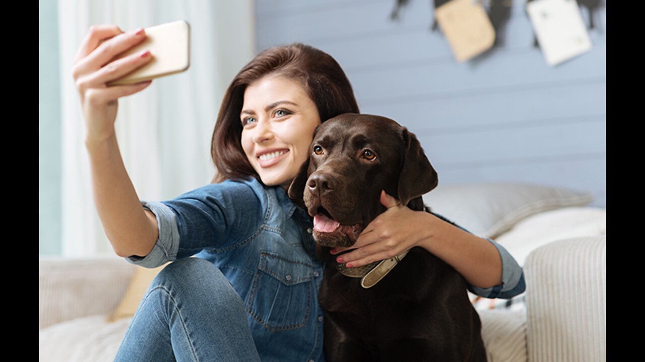 funny video of a happy dog when the owner moves to a big house