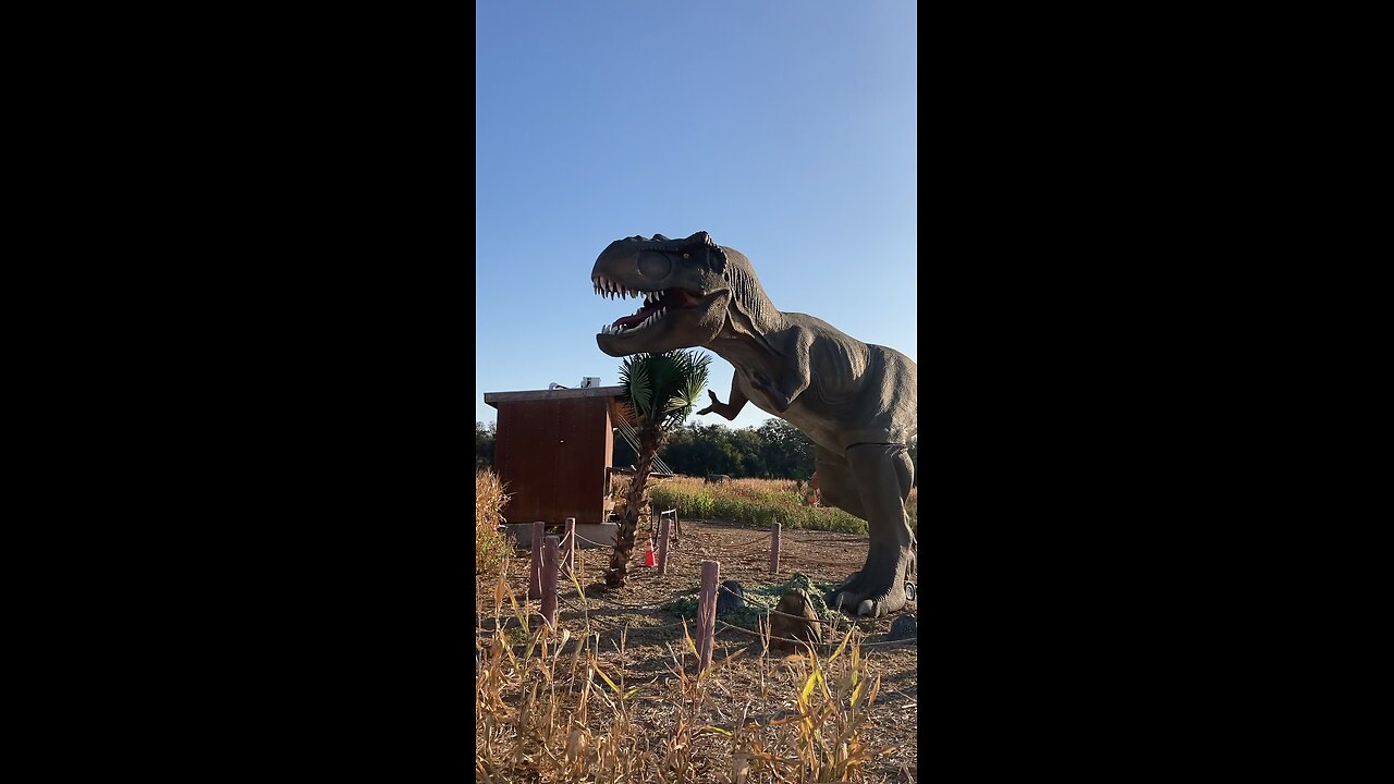 Tyrannosaurus Rex 🦖