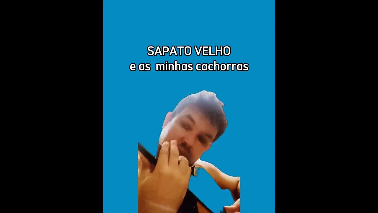 SAPATO VELHO e as Minhas Cachorras (veja até o final para entender rsrsrs)