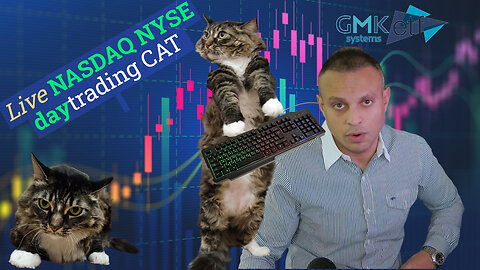 Cat Daytrading Algorithmically