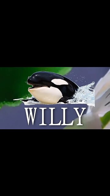 Betta Fish Do NOT need Large Tanks #bettafish #bettasplendens