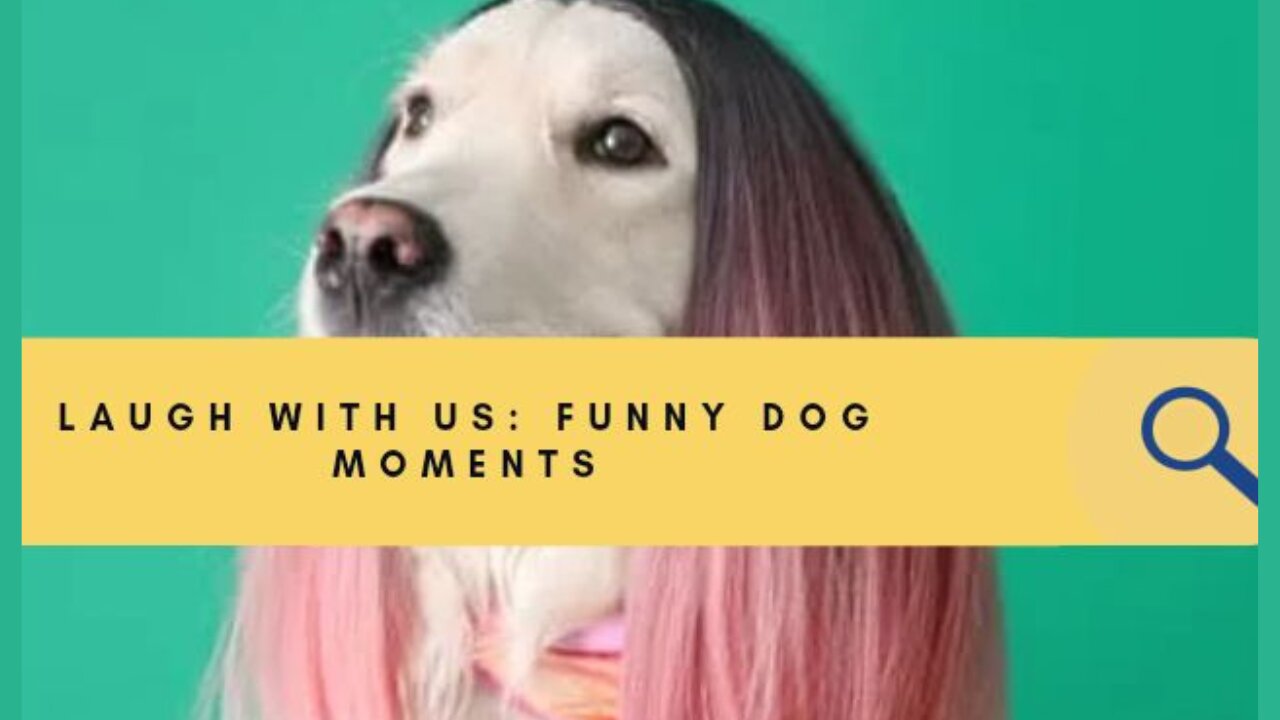 "Hilarious Animal Antics | The Ultimate Funny Animal Videos Compilation on Rumble!"